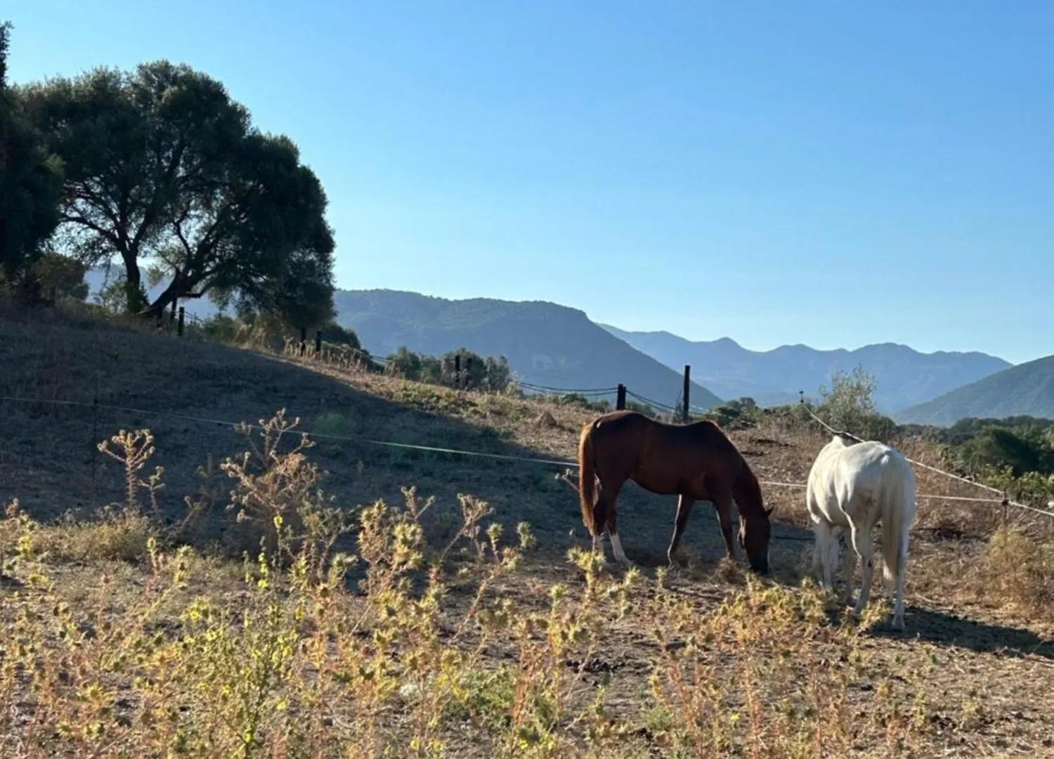 Camping Cabana Rustica En Un Rancho Con Caballos, Prado Del Rey, Andalucia