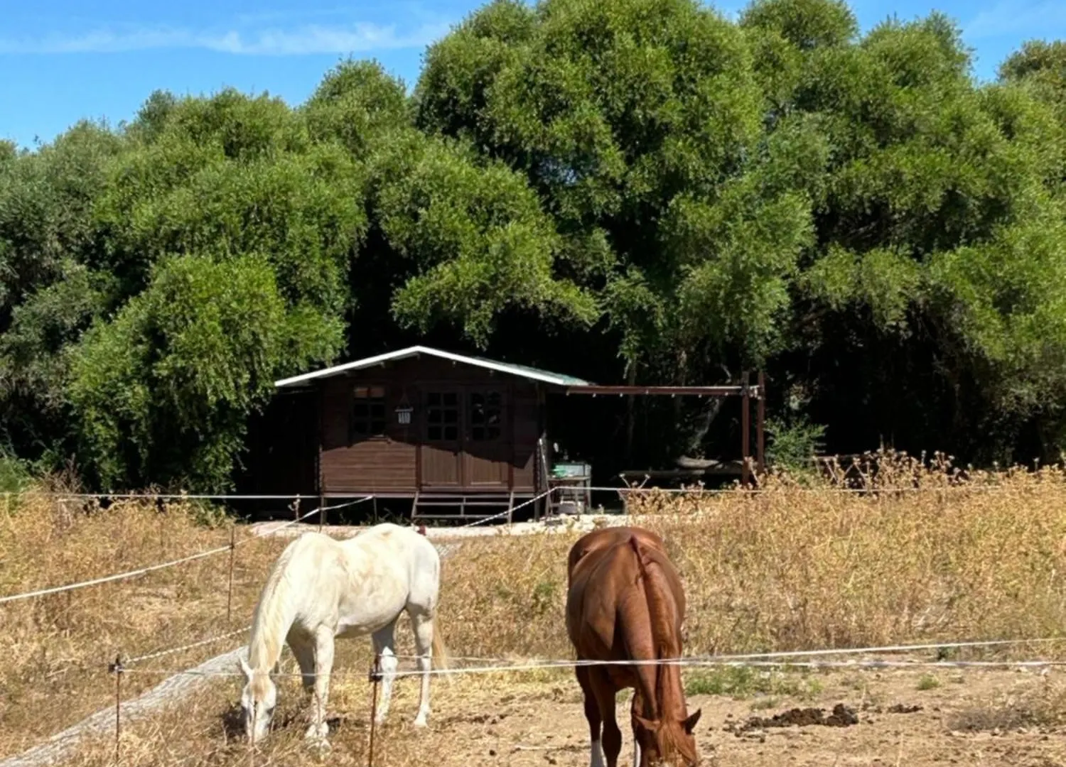 Cabana Rustica En Un Rancho Con Caballos, Prado Del Rey, Andalucia
