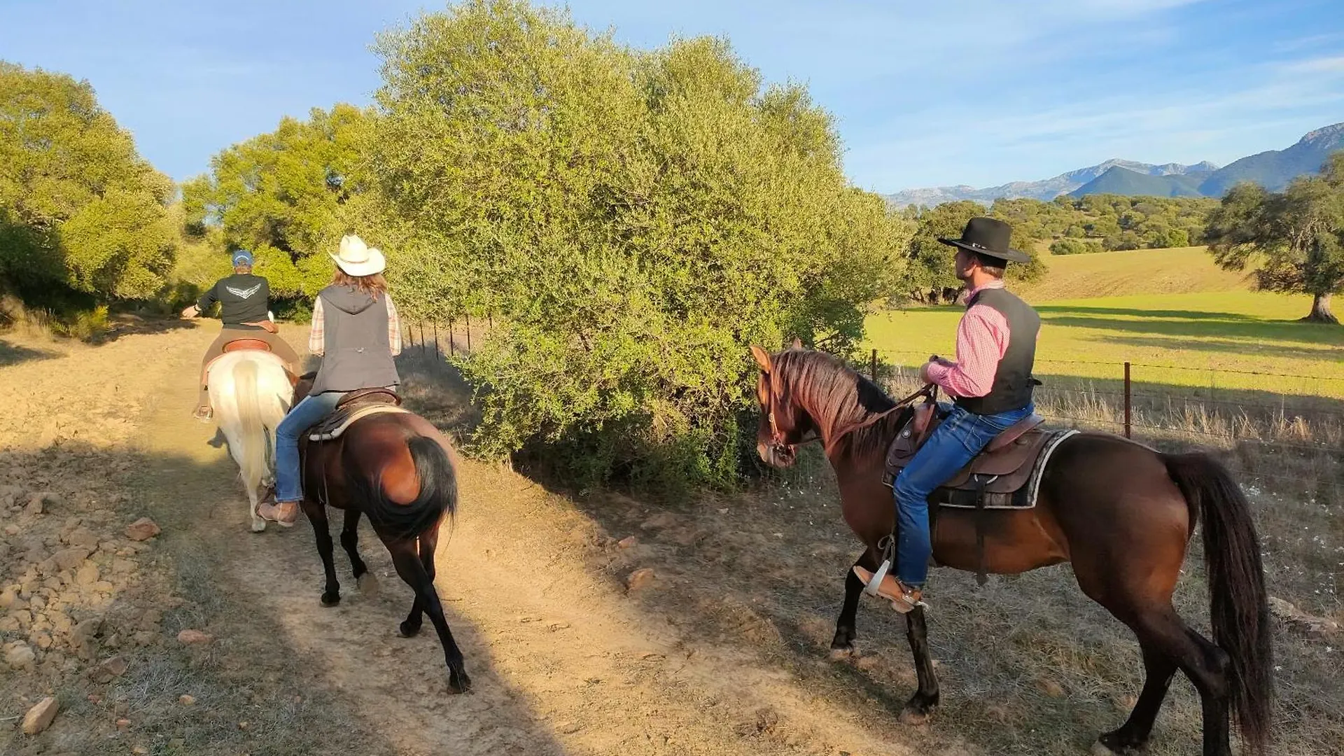 Cabana Rustica En Un Rancho Con Caballos, Prado Del Rey, Andalucia Camping