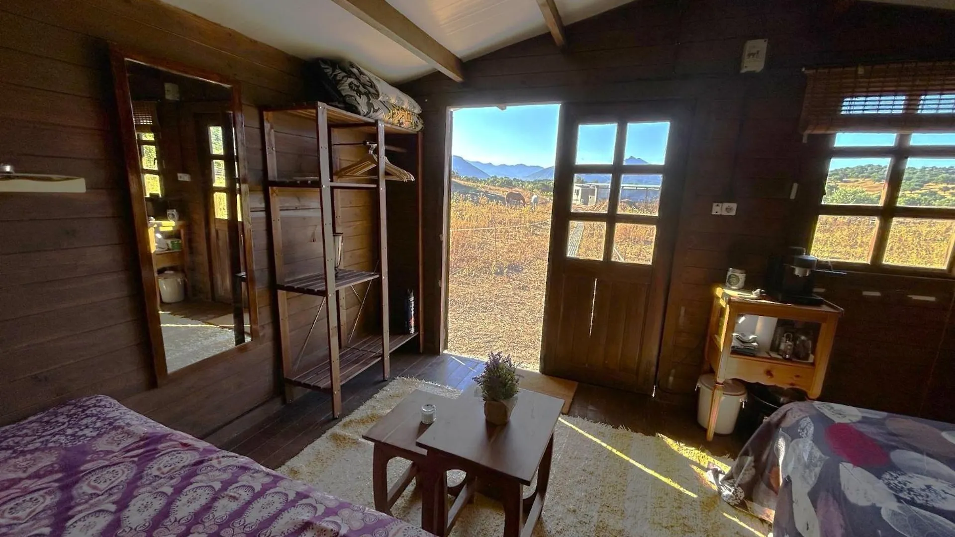 Cabana Rustica En Un Rancho Con Caballos, Prado Del Rey, Andalucia
