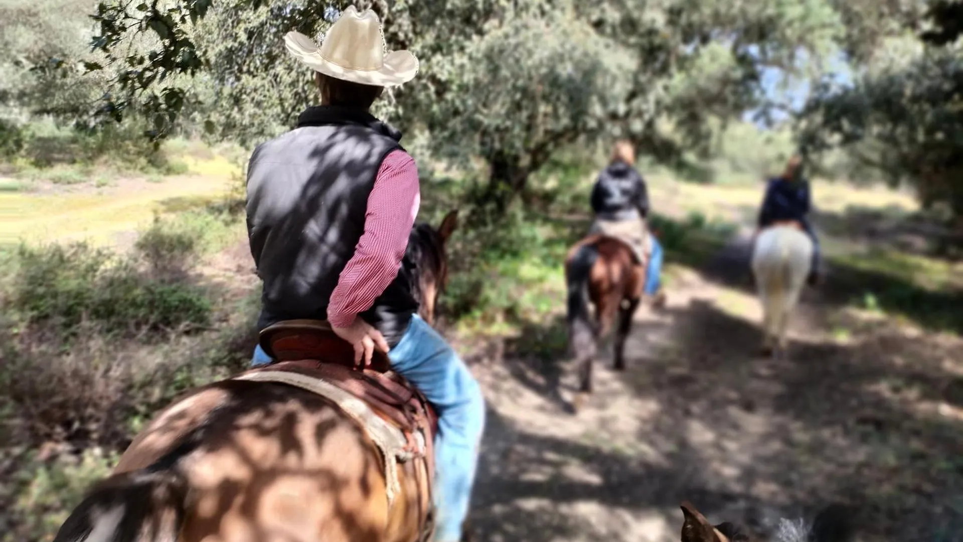 Camping Cabana Rustica En Un Rancho Con Caballos, Prado Del Rey, Andalucia