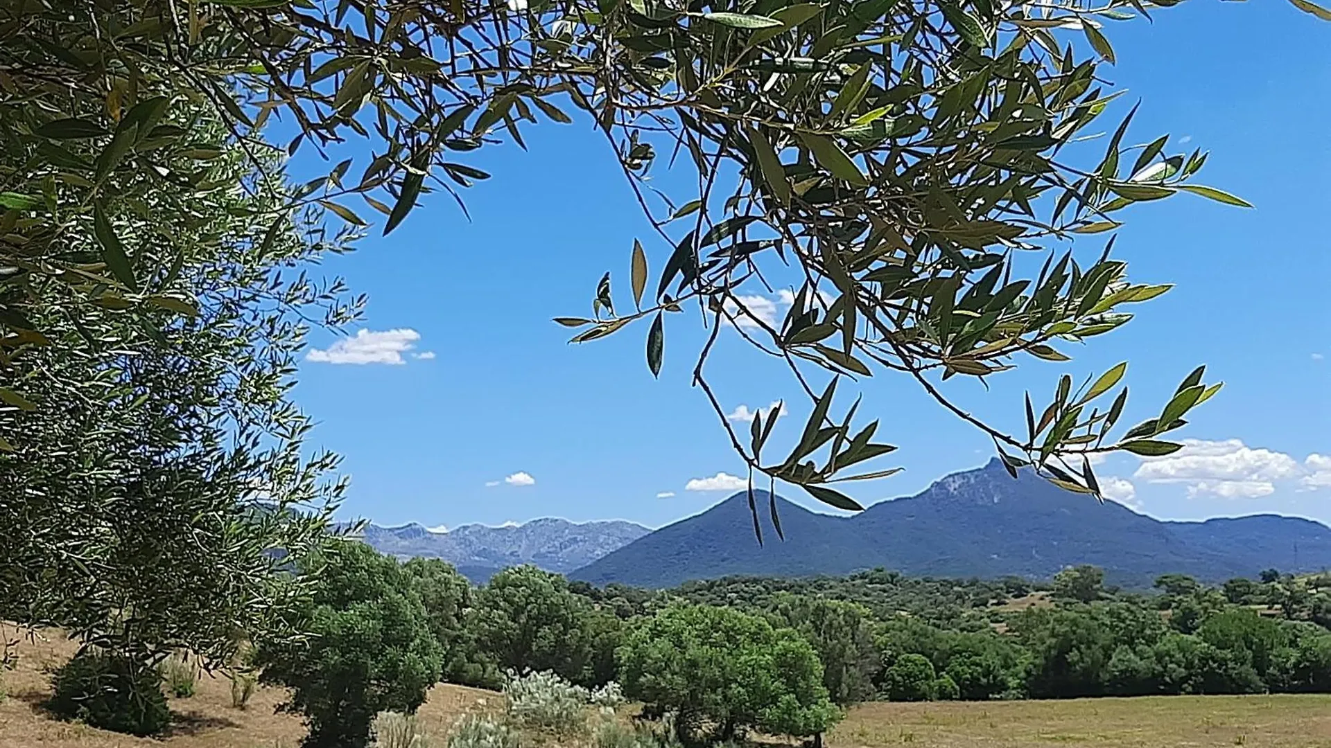 Cabana Rustica En Un Rancho Con Caballos, Prado Del Rey, Andalucia