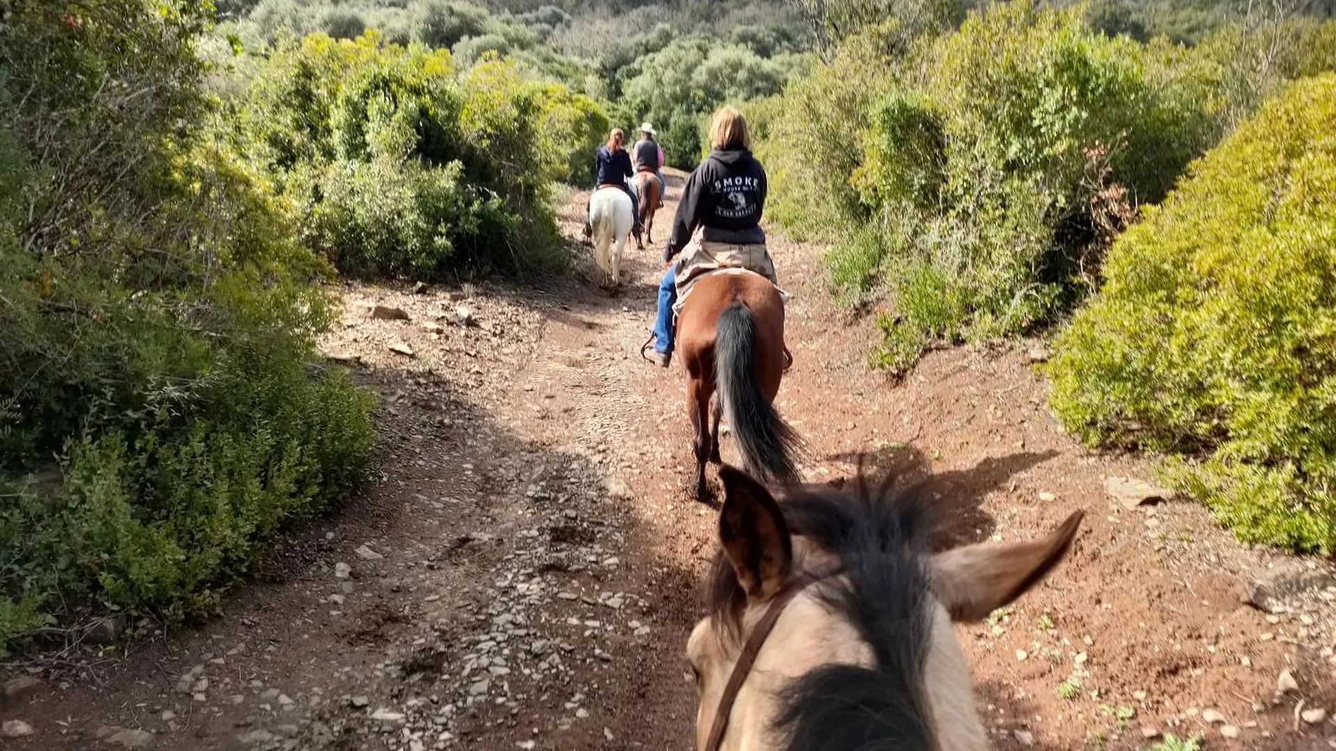 Camping Cabana Rustica En Un Rancho Con Caballos, Prado Del Rey, Andalucia