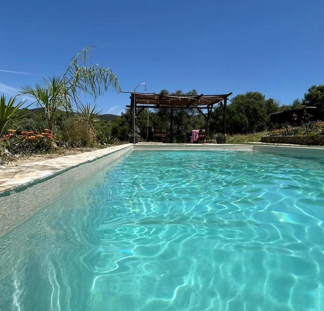Cabana Rustica En Un Rancho Con Caballos, Prado Del Rey, Andalucia