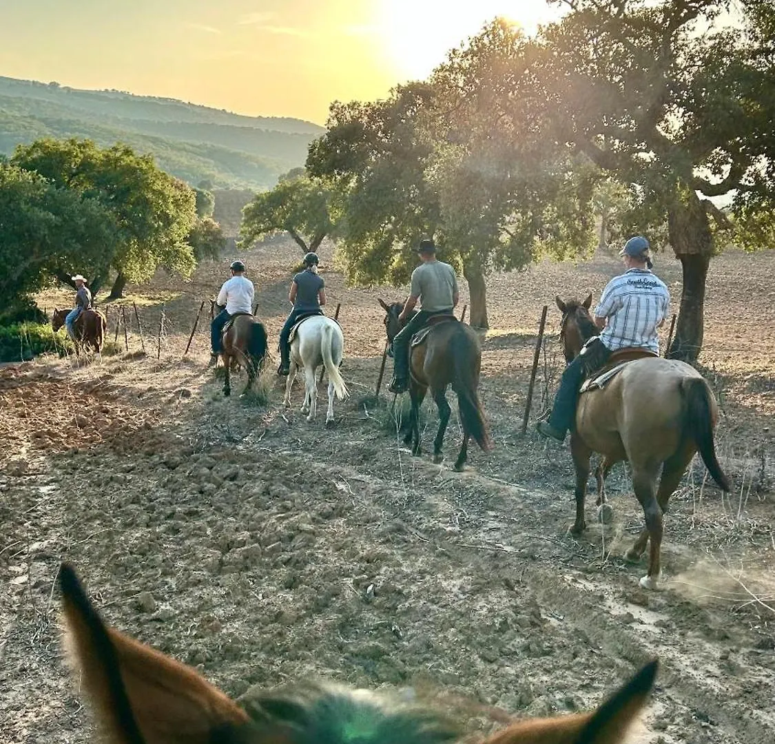 Camping Cabana Rustica En Un Rancho Con Caballos, Prado Del Rey, Andalucia España