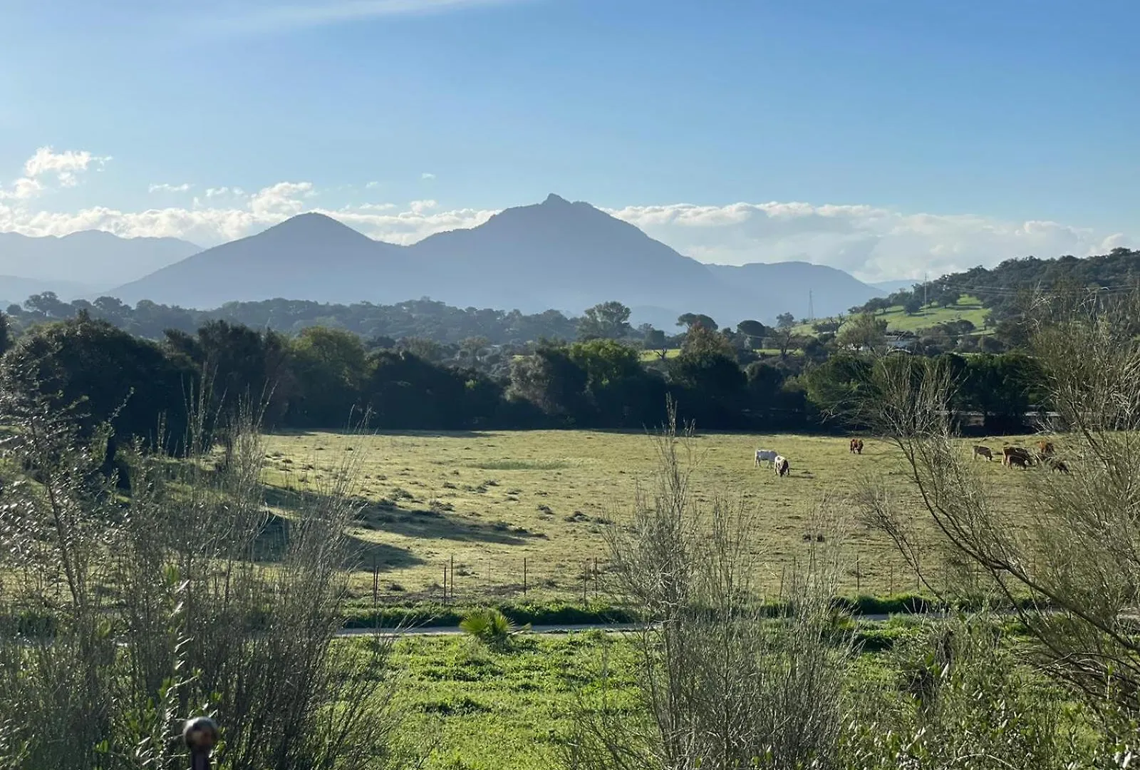 キャンプ場 Cabana Rustica En Un Rancho Con Caballos, Prado Del Rey, Andalucia スペイン